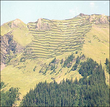 20120530-Avalanche protection Schutzwald-Lawinenverbauung.jpg